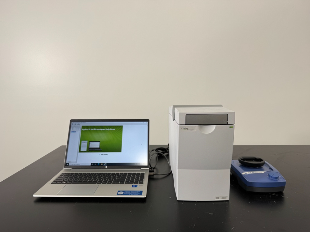 Image of Agilent Technologies 2100 Bioanalyzer w/ IKA MS 3 Vortexer